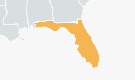 Florida Yellow